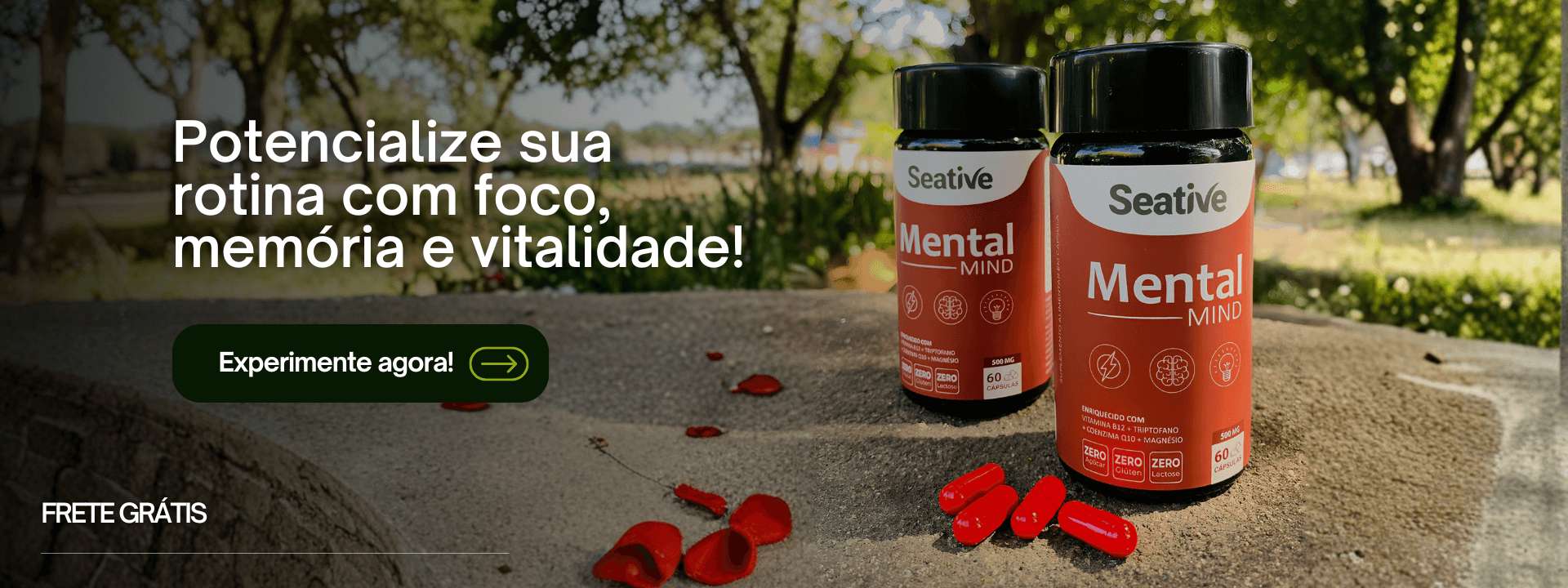 Banner Site Pacote de Viagem Promocional (1)